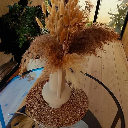 La Maison Des Moments Prázdninový dům Carcassonne